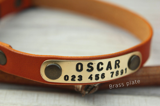 Personalized Breakaway Cat Collar – Soft Leather Collar with ID Tag