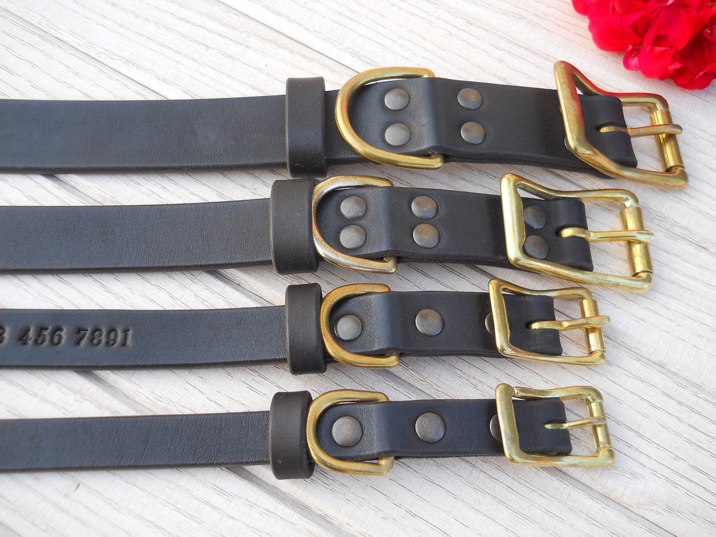 Personalized Leather Dog Collar with Engraved ID Tag
