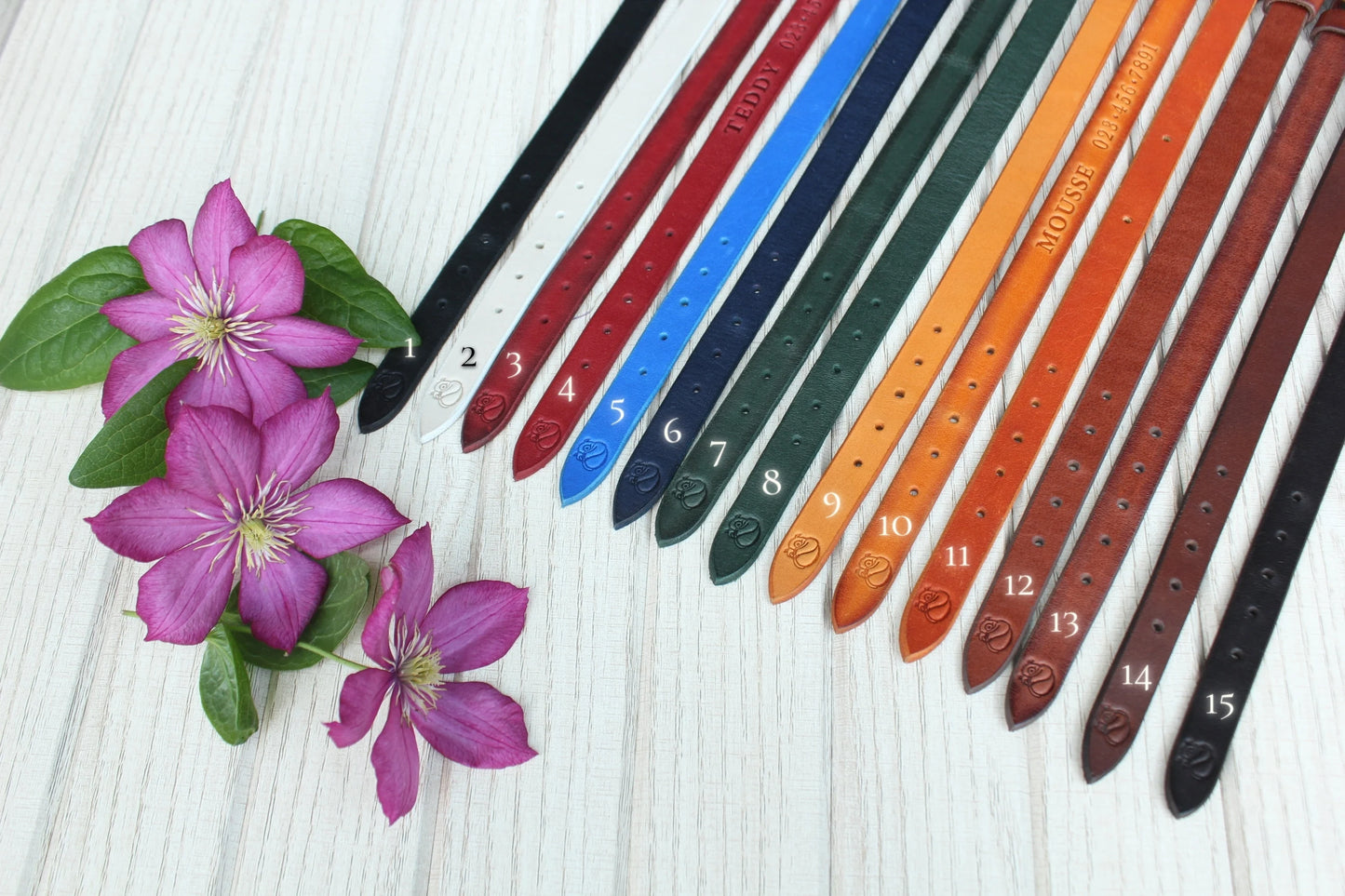 Small or Narrow Leather Dog Collar with Brass/Chrome Buckle