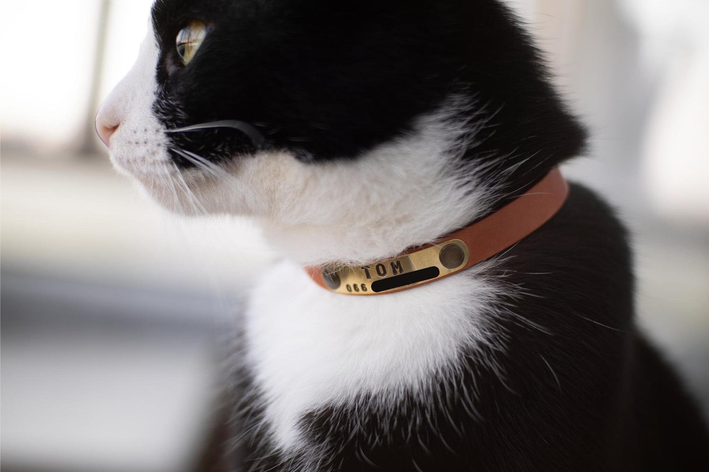 Soft Leather Cat Collar, Breakaway Cat Collar