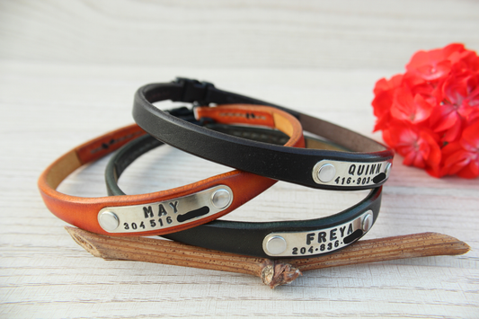 House Leather Dog Collar, Quick-Release Buckle, Personalized ID Tag