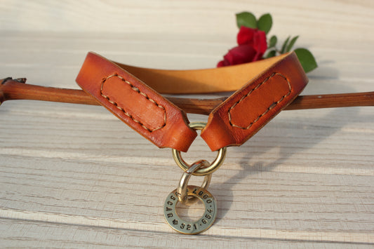 Personalized leather dog collar with a round brass name tag