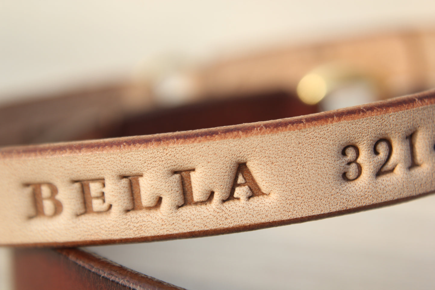 Handmade Dog House Collar with Hot-Stamped Personalized ID Tag
