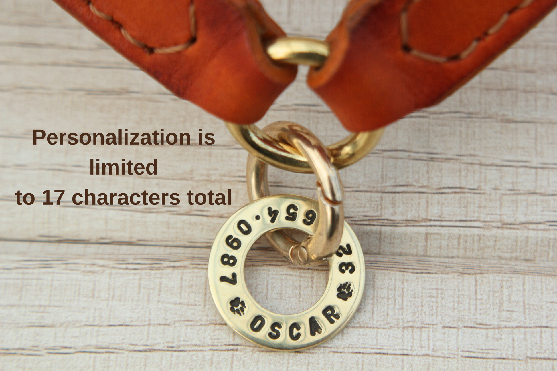 Close-up of a round brass personalized name tag on a leather dog collar