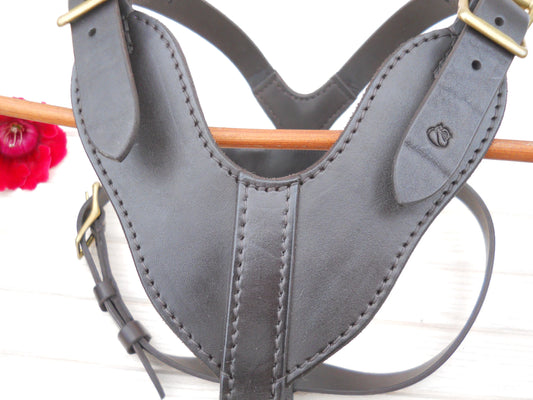 Personalized Leather Dog Harness – Handmade Strong Dark Brown Harness for Large Dogs with Name Hot Stamping