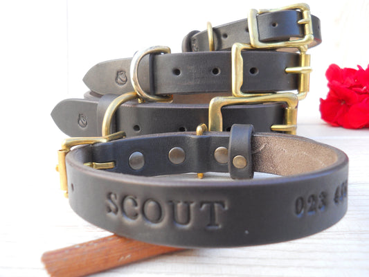Personalized Leather Dog Collar with Engraved ID Tag