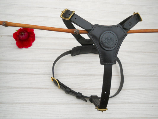 “Sun” Personalized Leather Dog Harness – Medium Dark Brown Harness with Name Hot Stamping