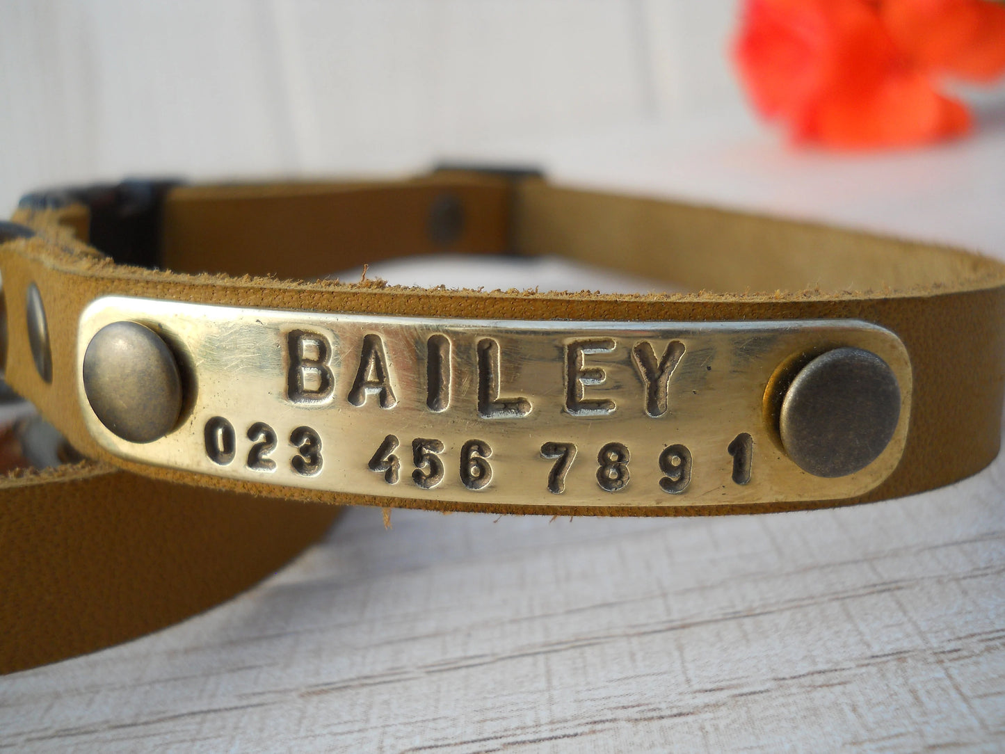Soft Leather Puppy Collar – Personalized Dog Collar with ID Tag, Small Size