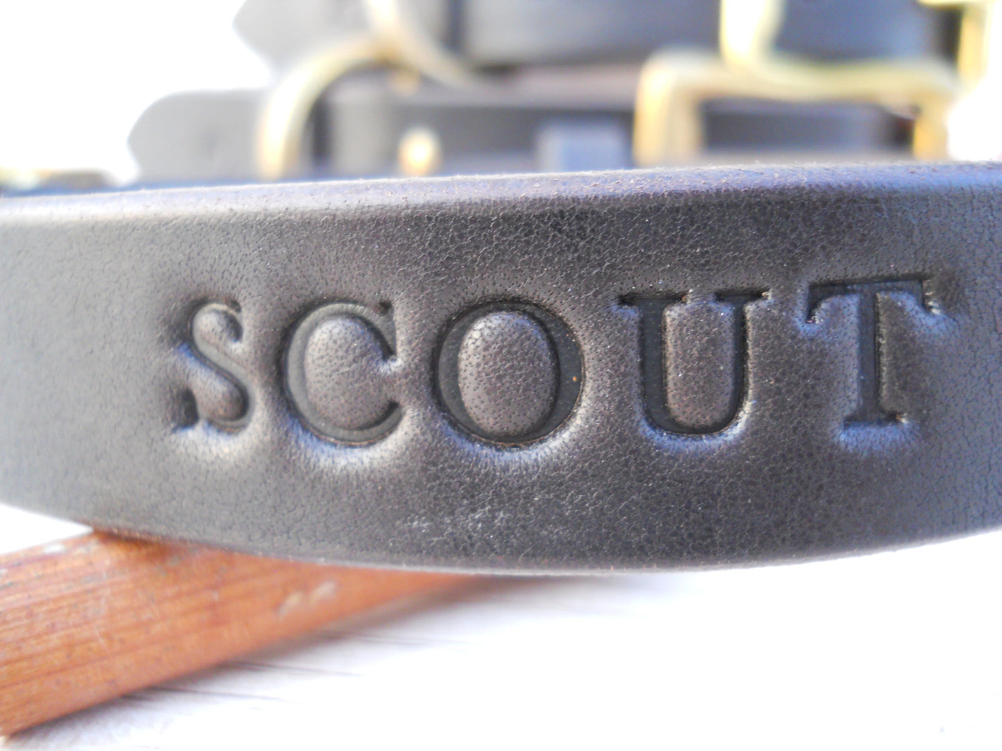 Personalized Leather Dog Collar with Engraved ID Tag