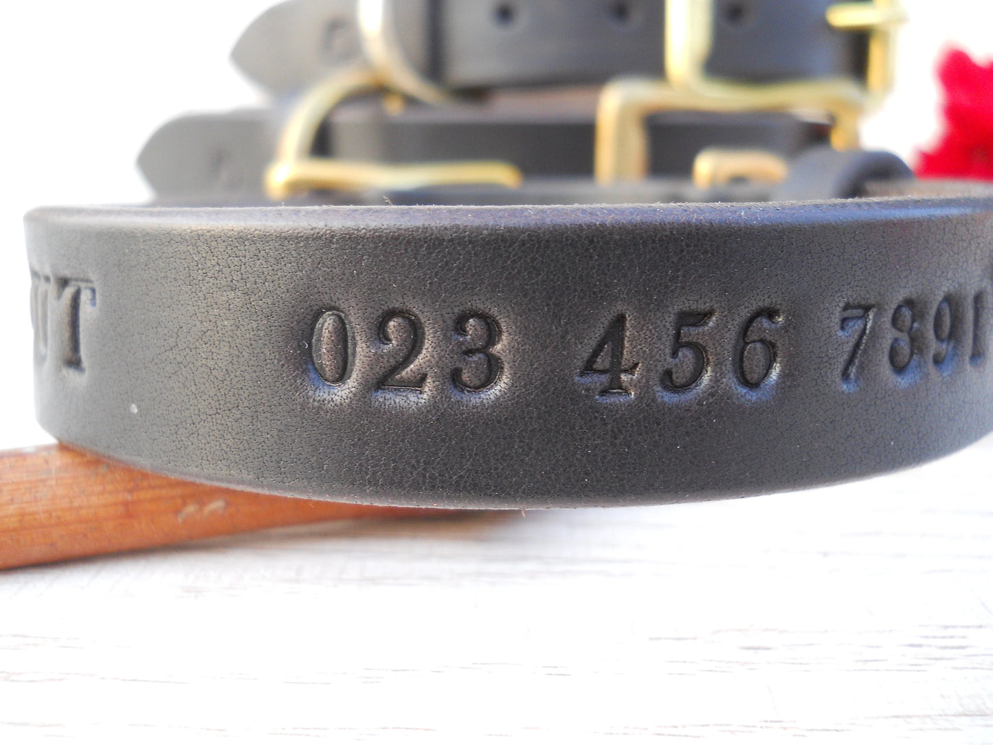 Personalized Leather Dog Collar with Engraved ID Tag