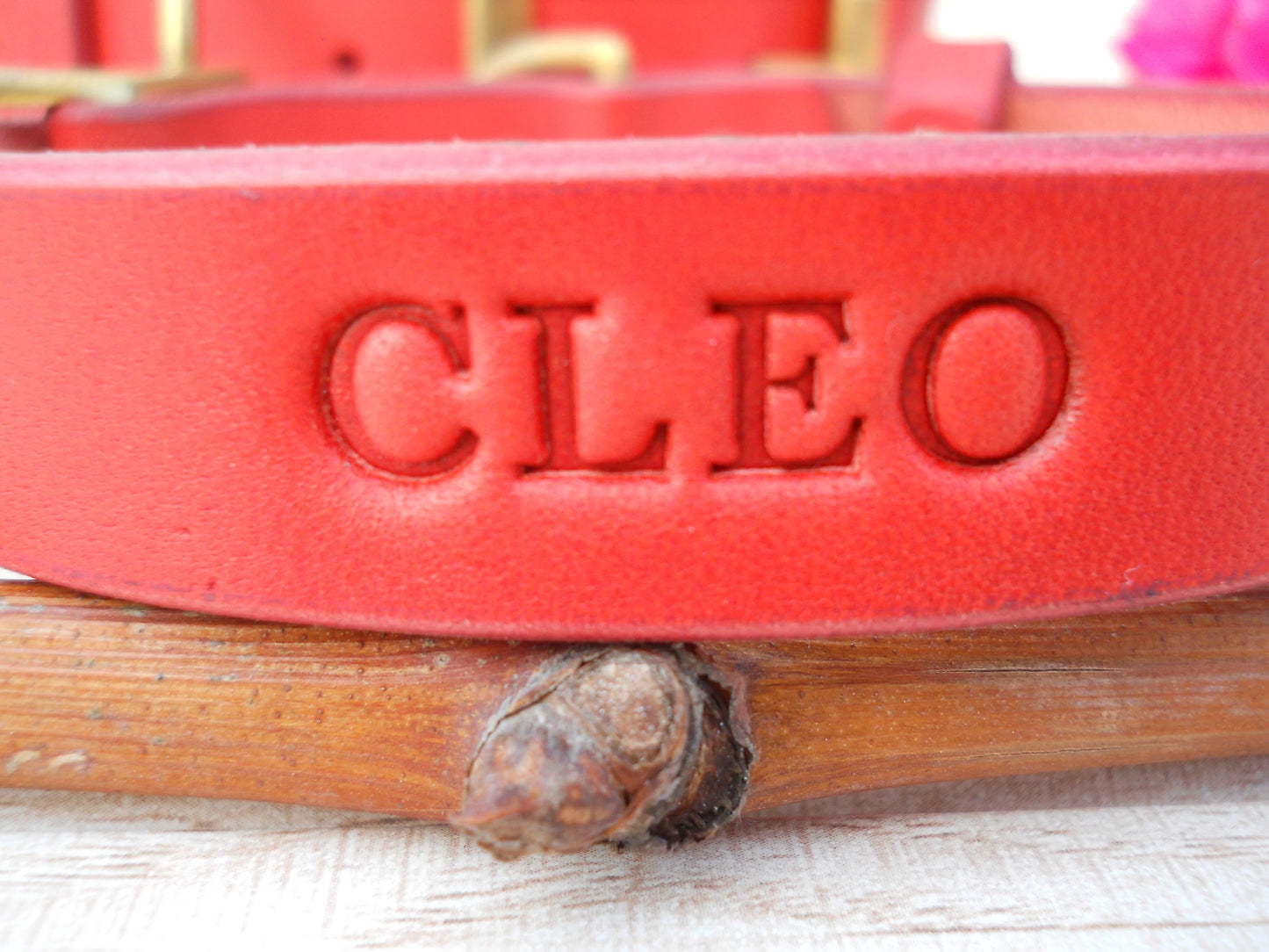 Personalized Leather Dog Collar, Red Engraved ID Tag