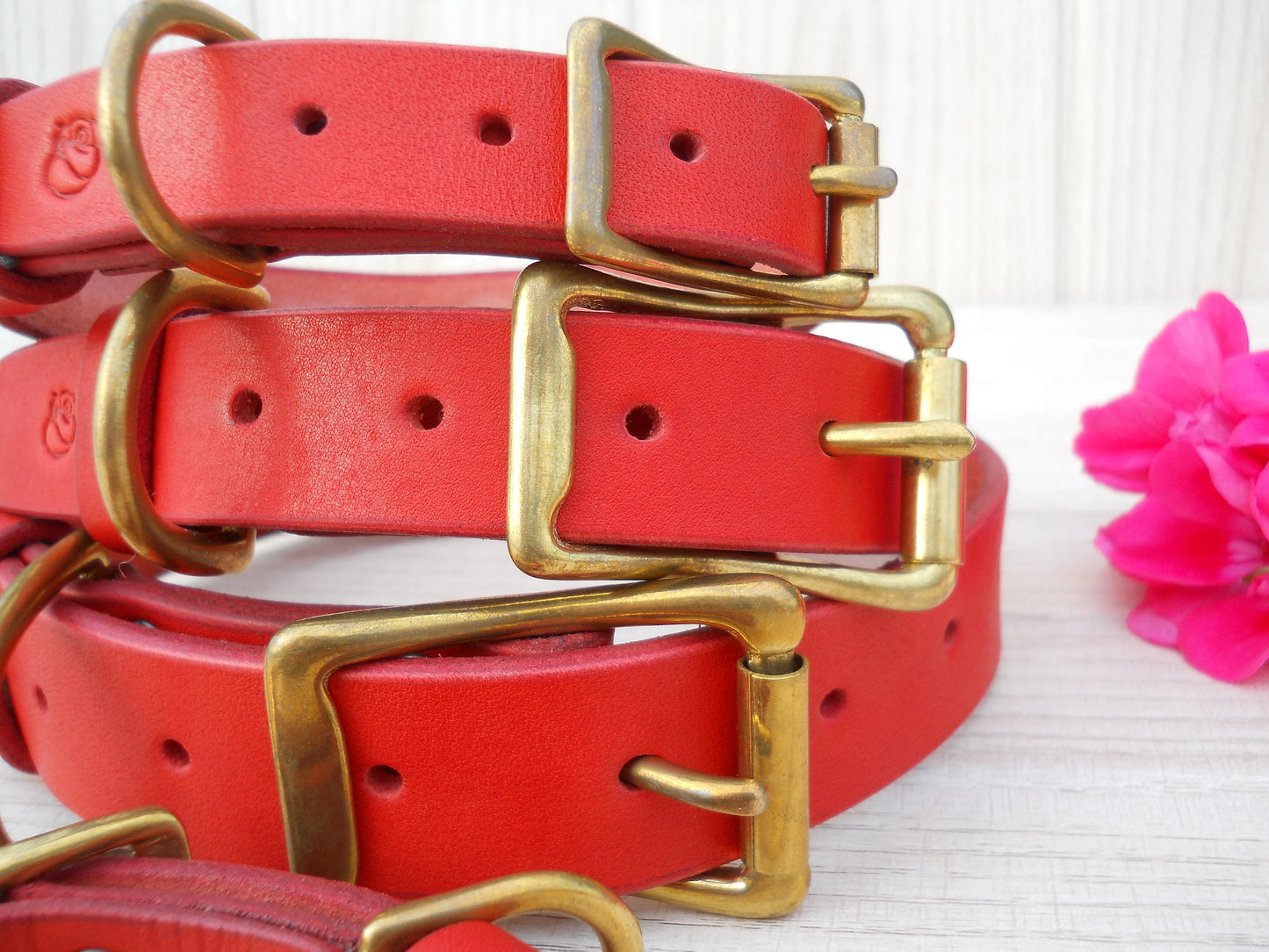 Personalized Leather Dog Collar, Red Engraved ID Tag