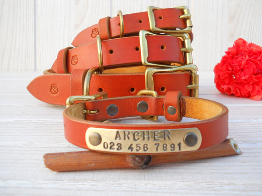 Custom Dog Collar with ID Tag, Pumpkin Collar