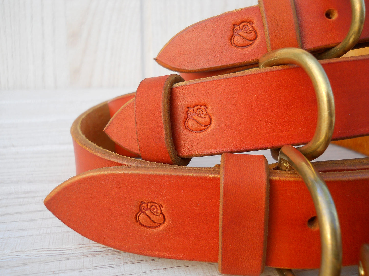 Custom Dog Collar with ID Tag, Pumpkin Collar