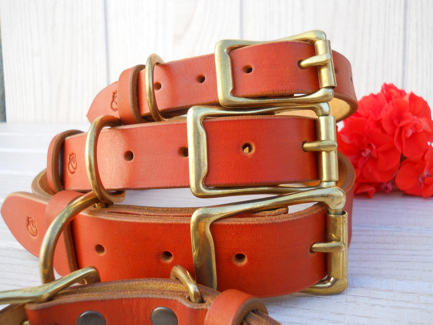 Custom Dog Collar with ID Tag, Pumpkin Collar