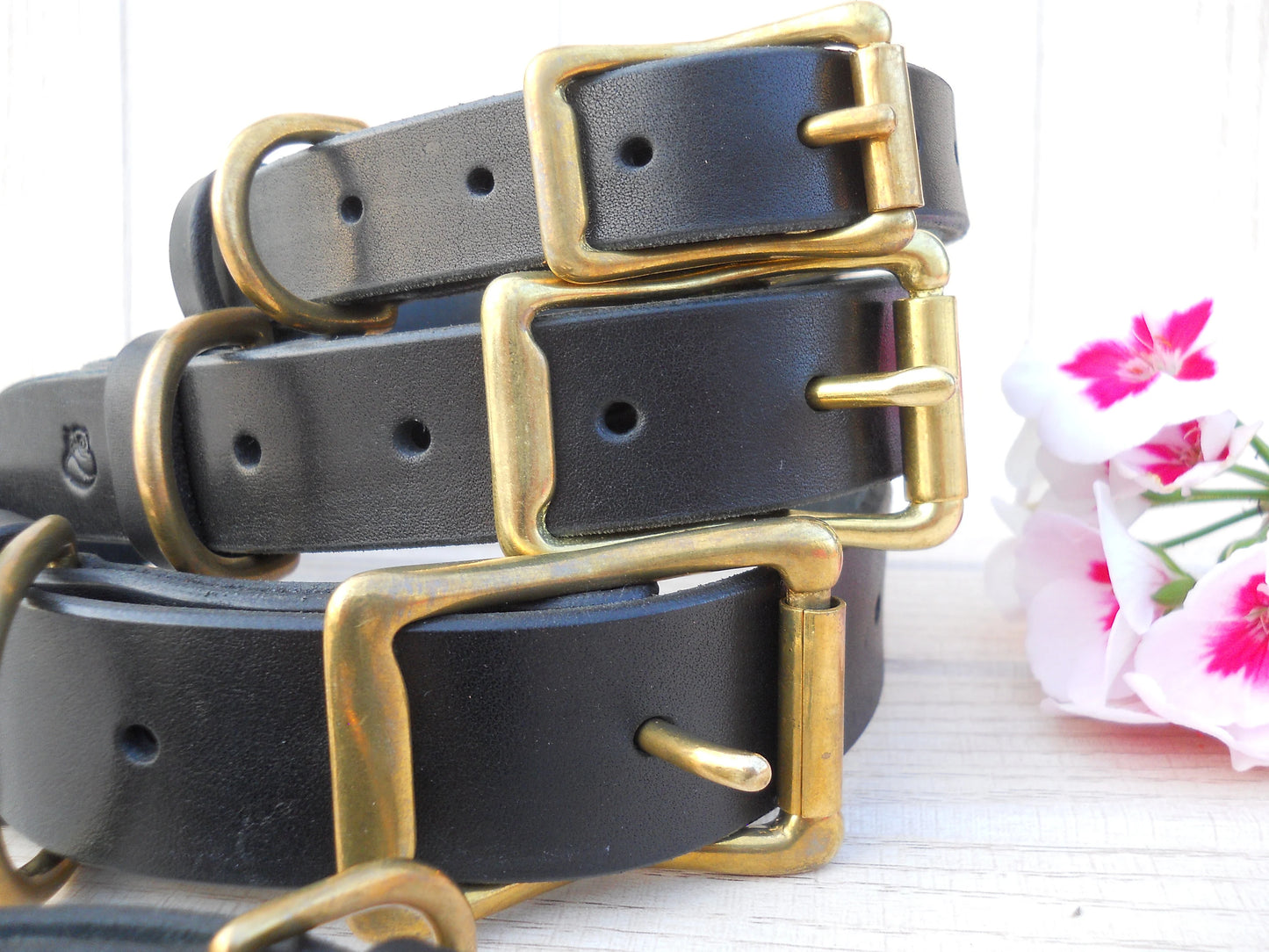 Personalized Leather Dog Collar with Brass ID Tag – Custom Durable Collar