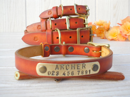 Pumpkin Leather Dog Collar with Personalized ID Tag
