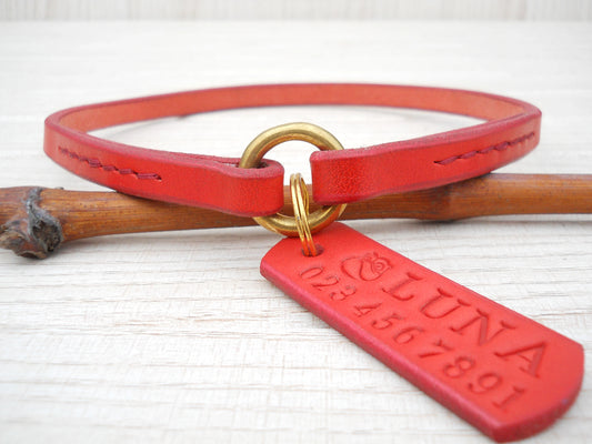 Red Leather House Collar – Personalized Dog Collar with ID Tag, Gift for Dogs