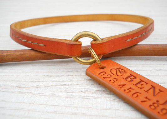 Pumpkin Leather Dog Collar with ID Tag – Personalized House Collar, Dog Gift