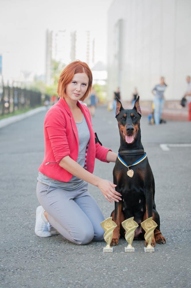 Leather Dog Show Collar, Exhibition Ring Collar, Elegant Collar for Dog Show