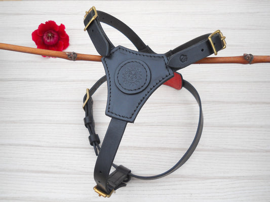“Sun” Personalized Leather Dog Harness – Medium Black Harness with Name Hot Stamping