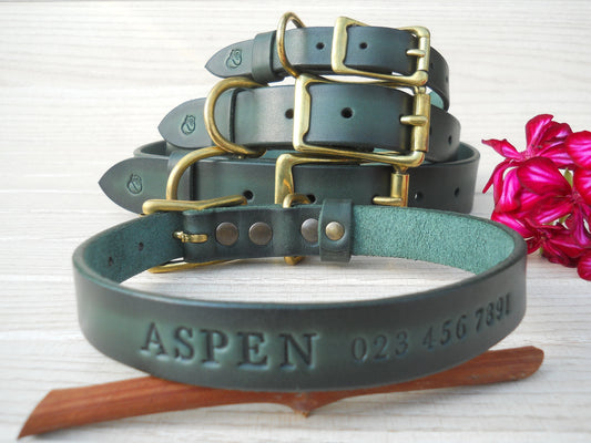 Personalized Leather Dog Collar, Vintage Dark Green