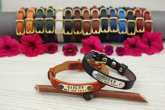 Leather Dog Collar with Brass or Chrome Buckle, ID Tag