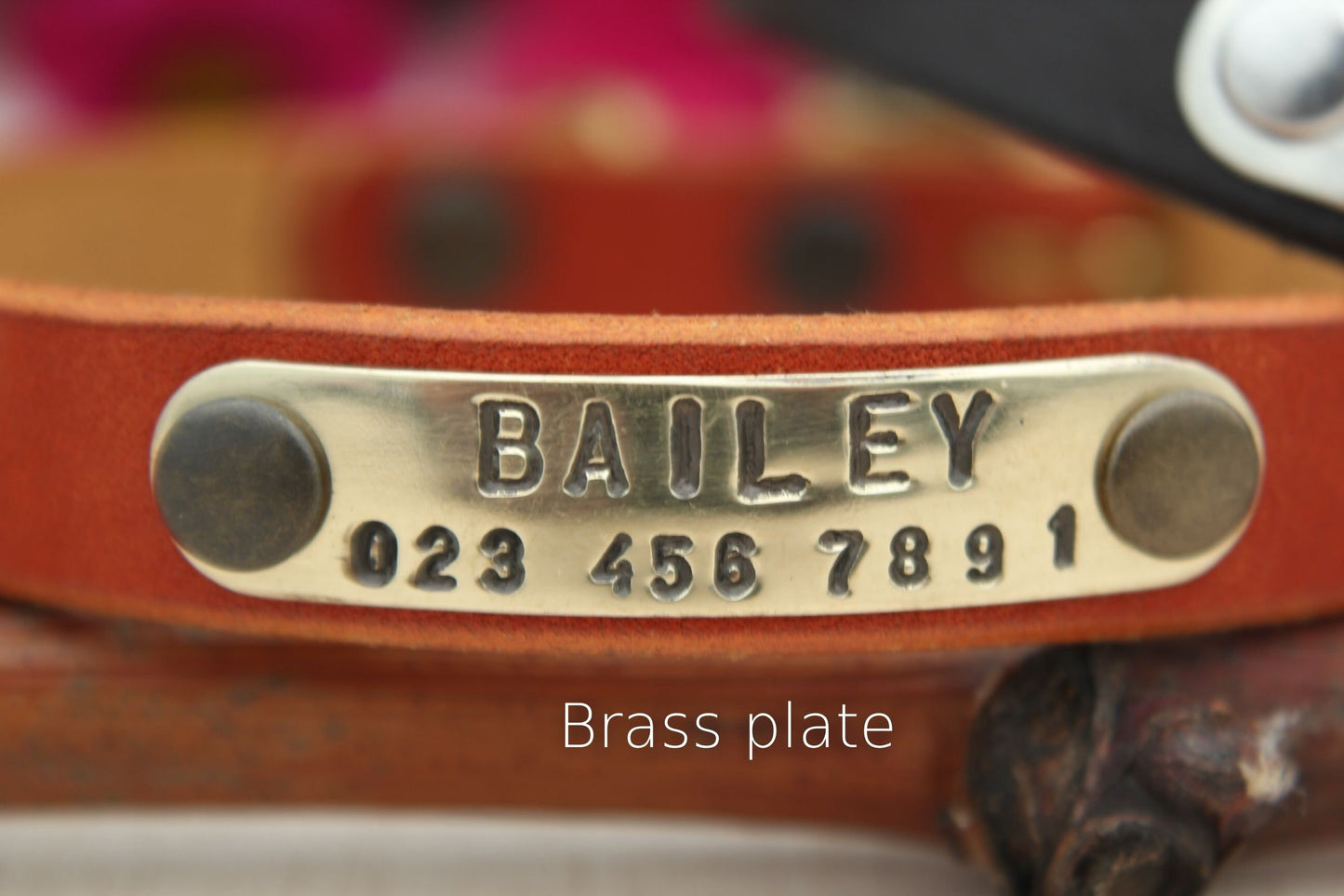 Leather Dog Collar with Brass or Chrome Buckle, ID Tag