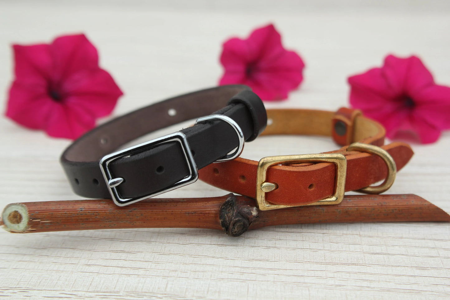 Leather Dog Collar with Brass or Chrome Buckle, ID Tag