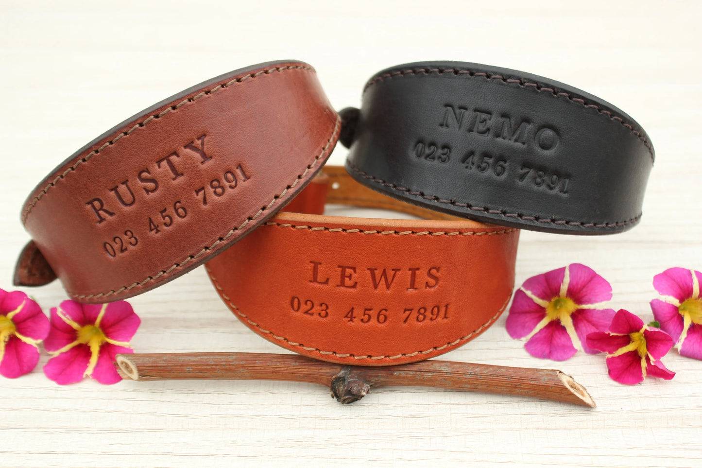 Leather Dog Collar for Sighthounds – Whippets, Greyhounds, Italian Greyhounds