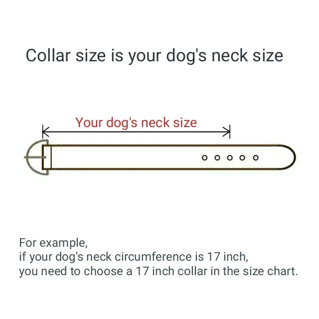 Small or Narrow Leather Dog Collar with Brass/Chrome Buckle