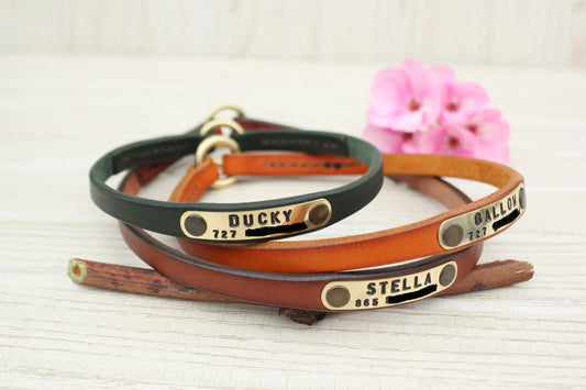 House Leather Dog Collar, Personalized ID Tag Collar