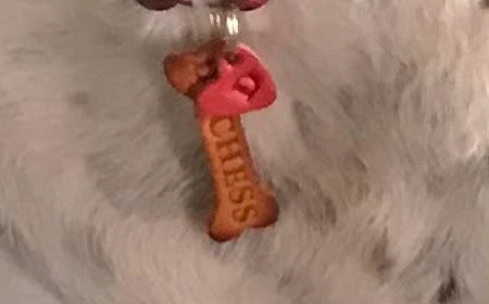 Leather Dog ID Tag Set – Custom Engraved Identification Tag with Dog Name