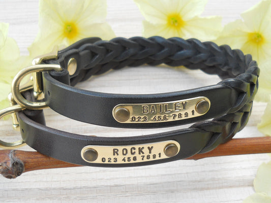 Strong Narrow Plaited Leather Dog Collar, Personalized ID Tag