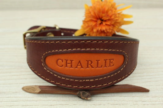 Leather Dog Collar for Sighthounds & Italian Greyhounds