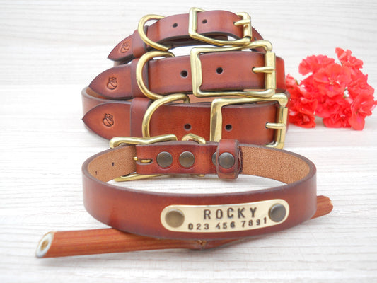 Personalized Vintage Look Leather Dog Collar