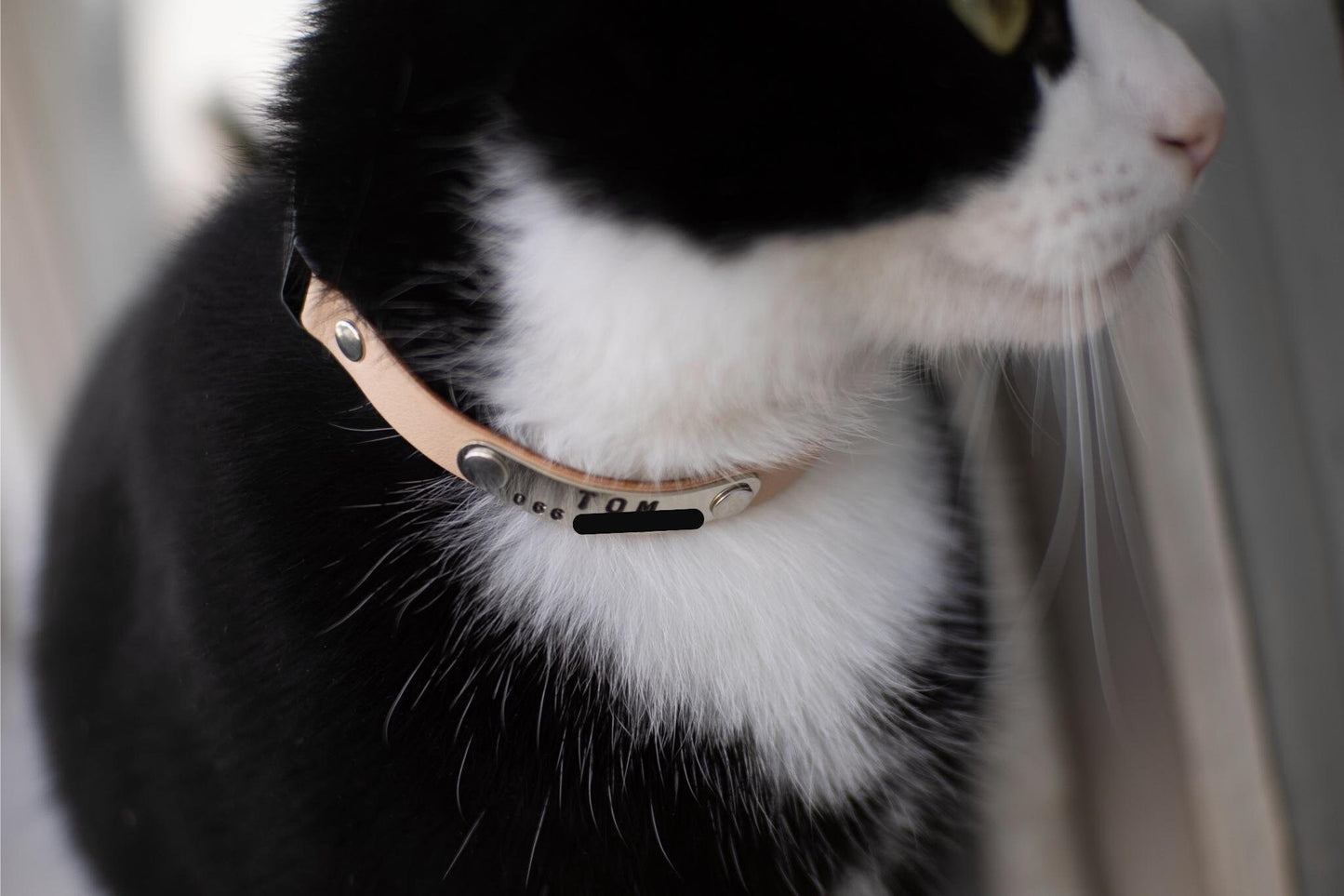 Soft Leather Cat Collar, Breakaway Cat Collar