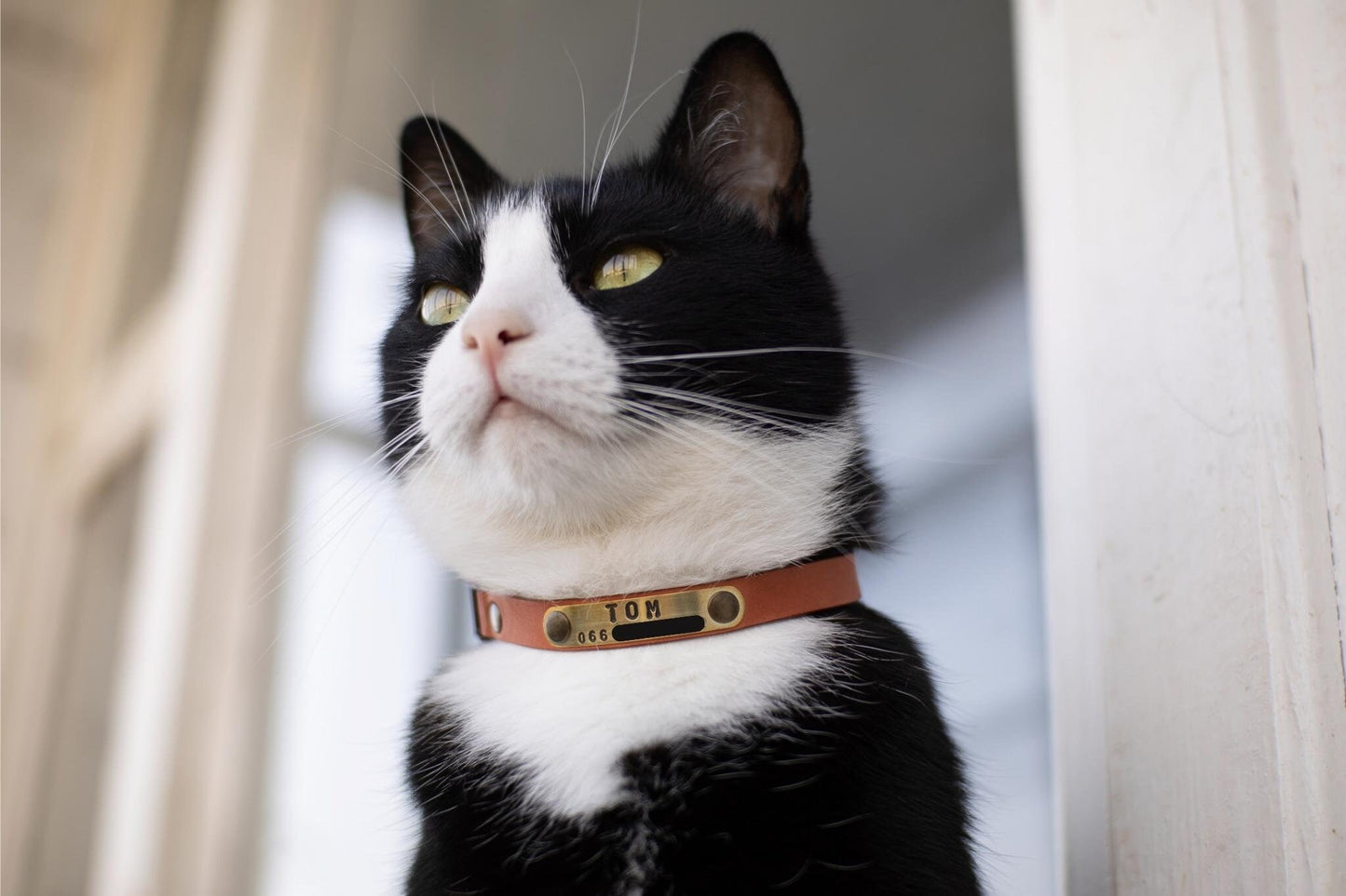Soft Leather Cat Collar, Breakaway Cat Collar