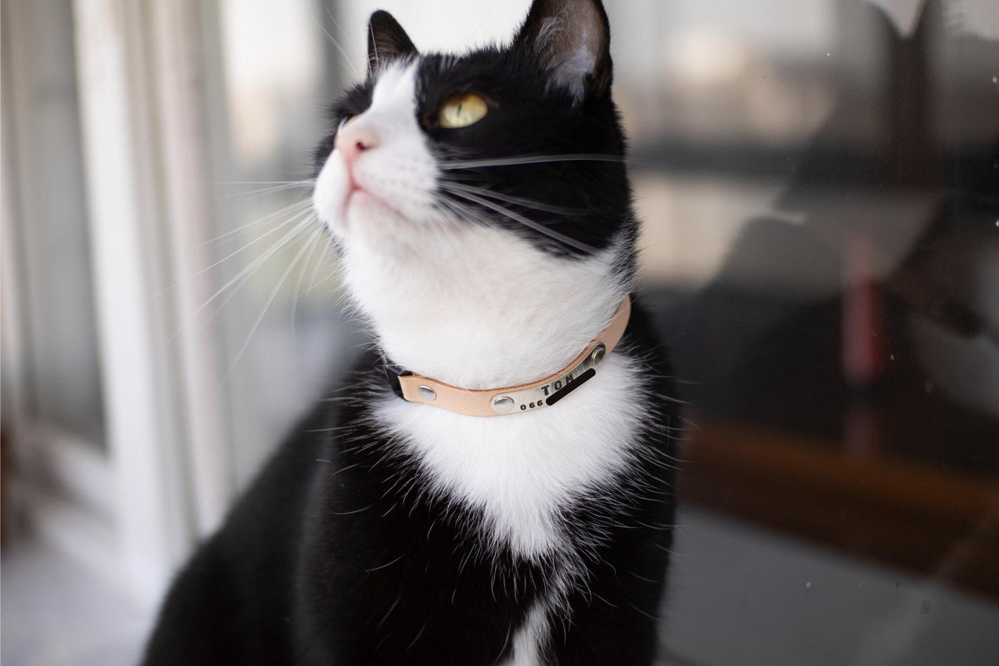 Soft Leather Cat Collar, Breakaway Cat Collar